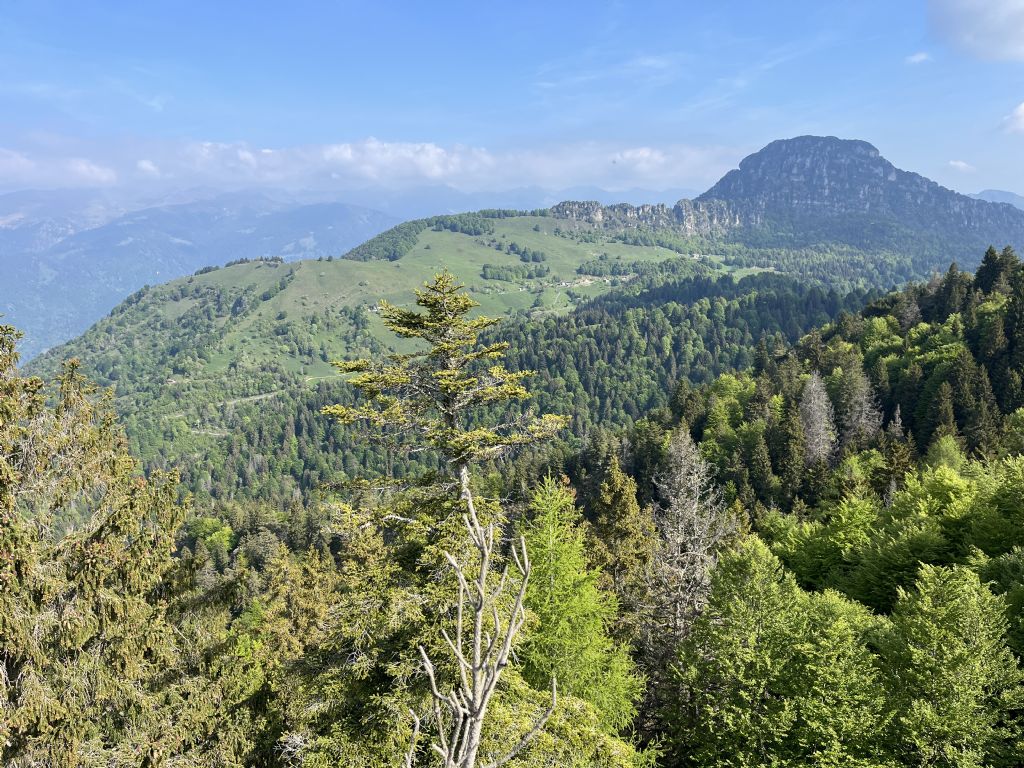 Bocca di Valle...Bondone (TN)